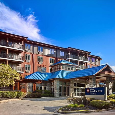 Hilton Garden Inn Гетлинбург Екстериор снимка